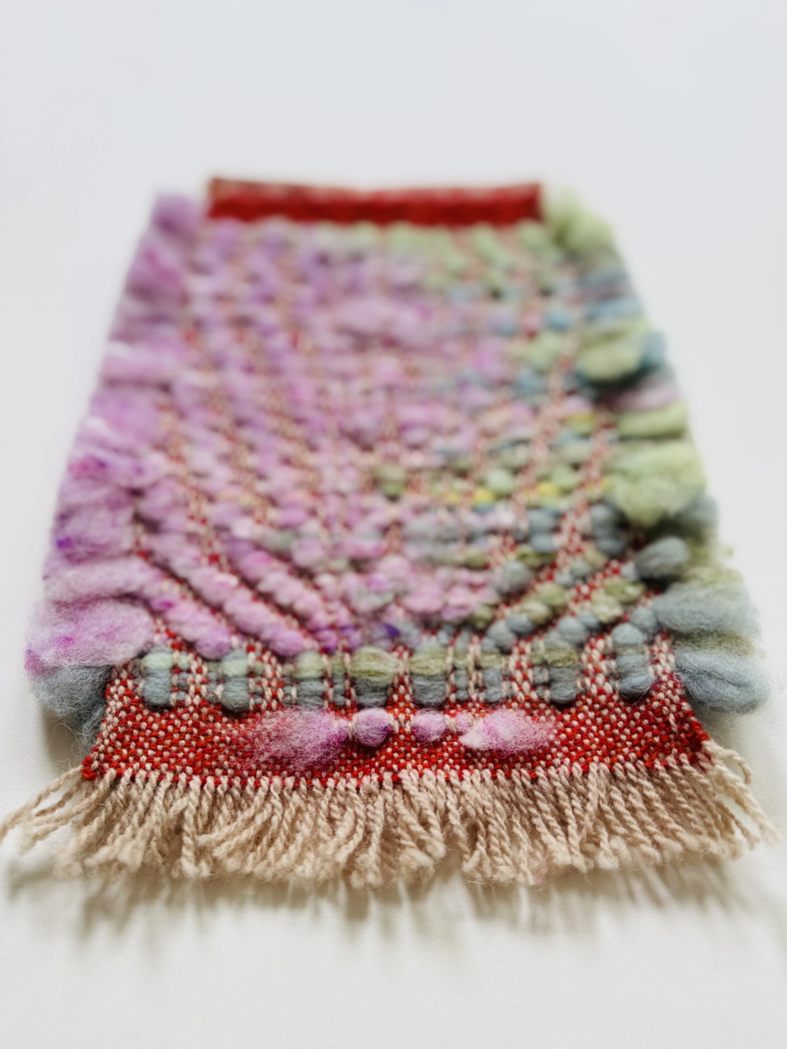 IMG_8286.jpeg