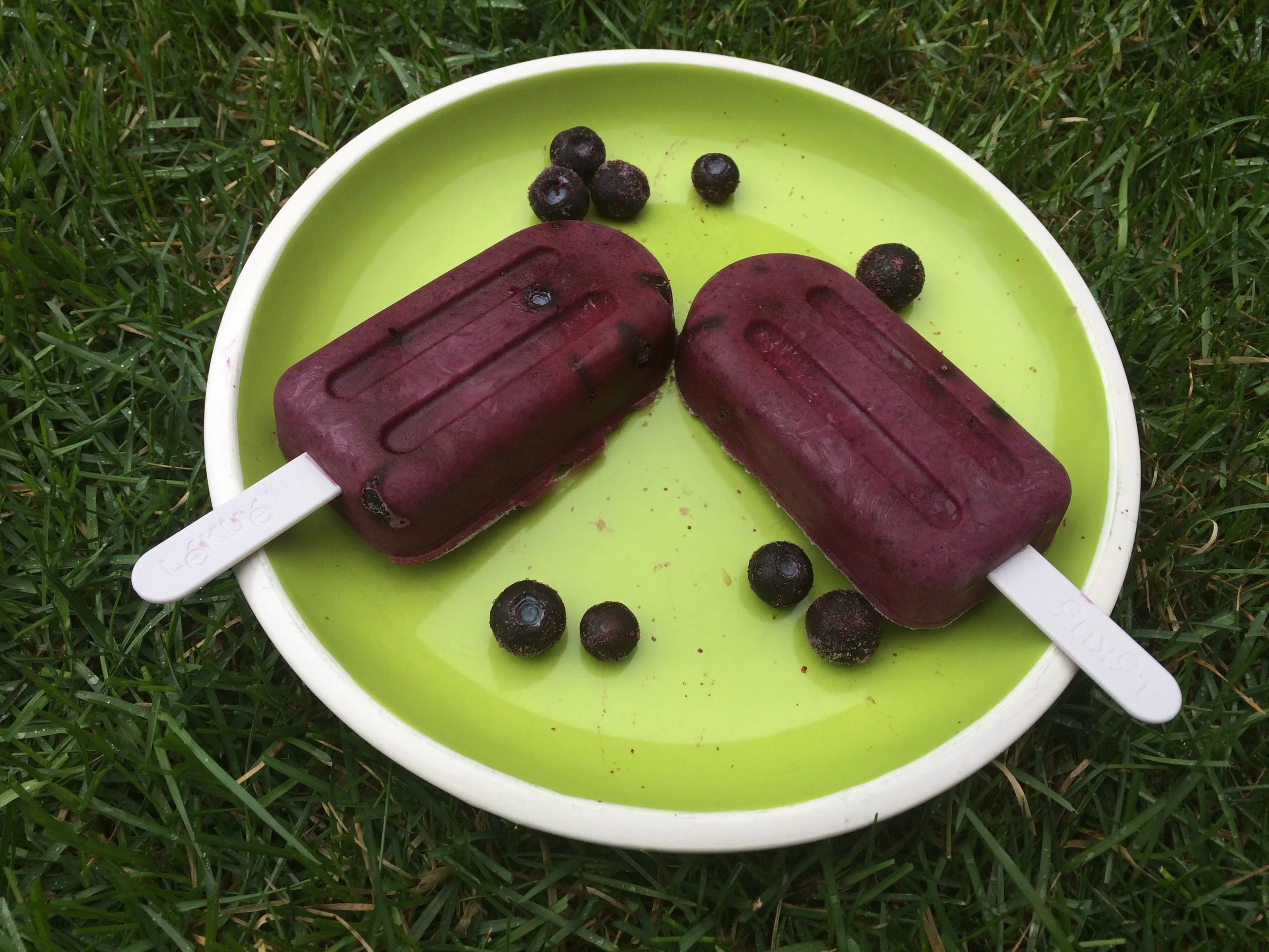 Try these with other low-histamine fruits like cherries, or peaches.