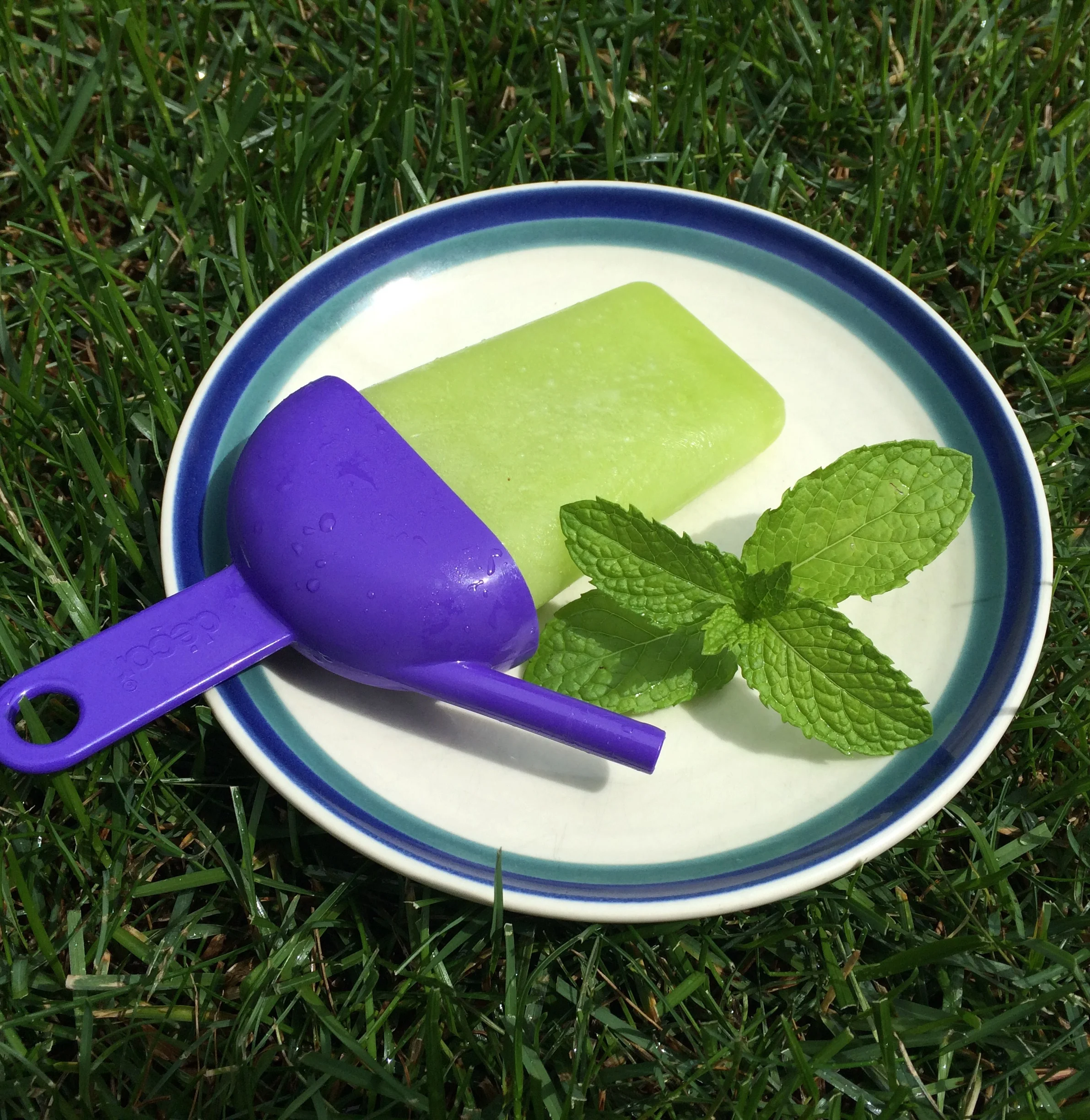 PALEO, AIP, LOWHISTAMINE TREATS EVERYONE CAN ENJOY! — Tracey Reed