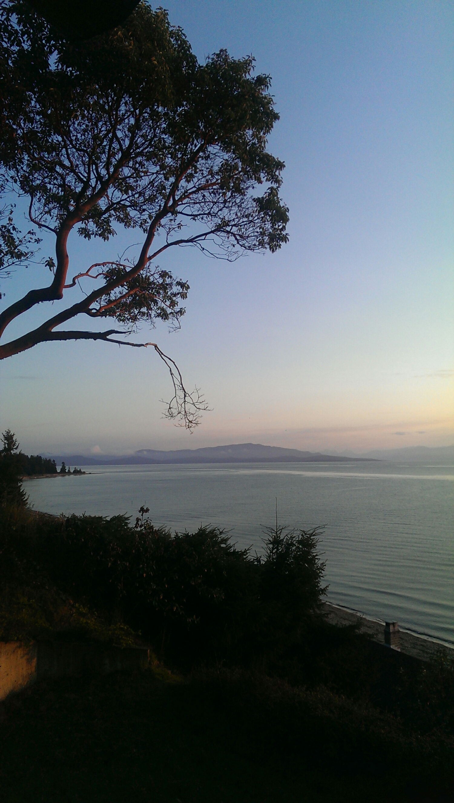 The view from our bedside...well from the balcony, but this is what I saw every morning when I work up. Game changing. 