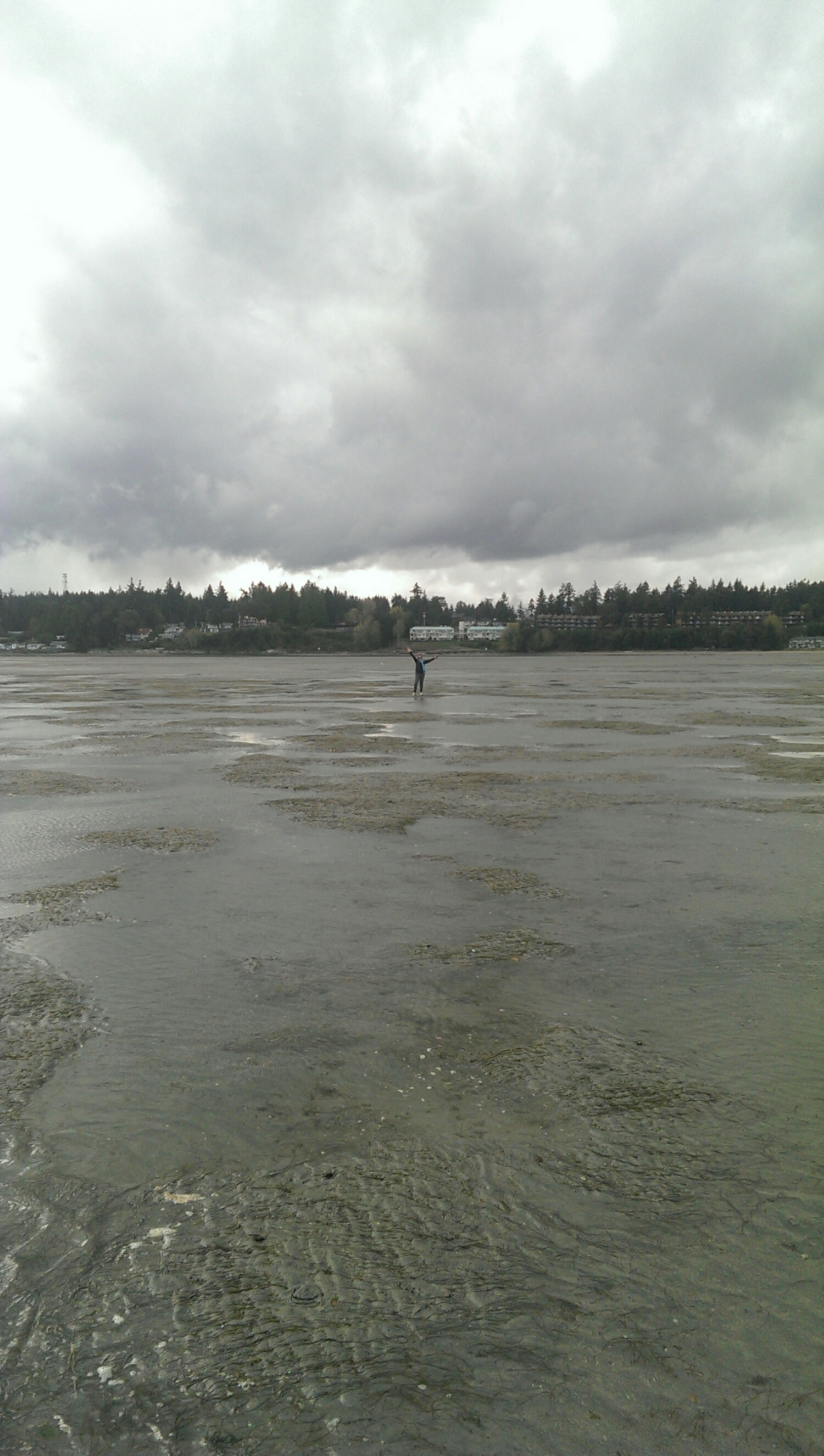 This is Catherine standing in the middle of the ocean, actually. Like Jesus, sort of. The water runs away everyday exposing miles of fancy patterened sand. So we went for a long walk on the beach. Because that's one of the things to do in Parksville. One of the only things...HAHA! Kidding. Kinda.