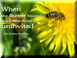 bees to the flower.jpg