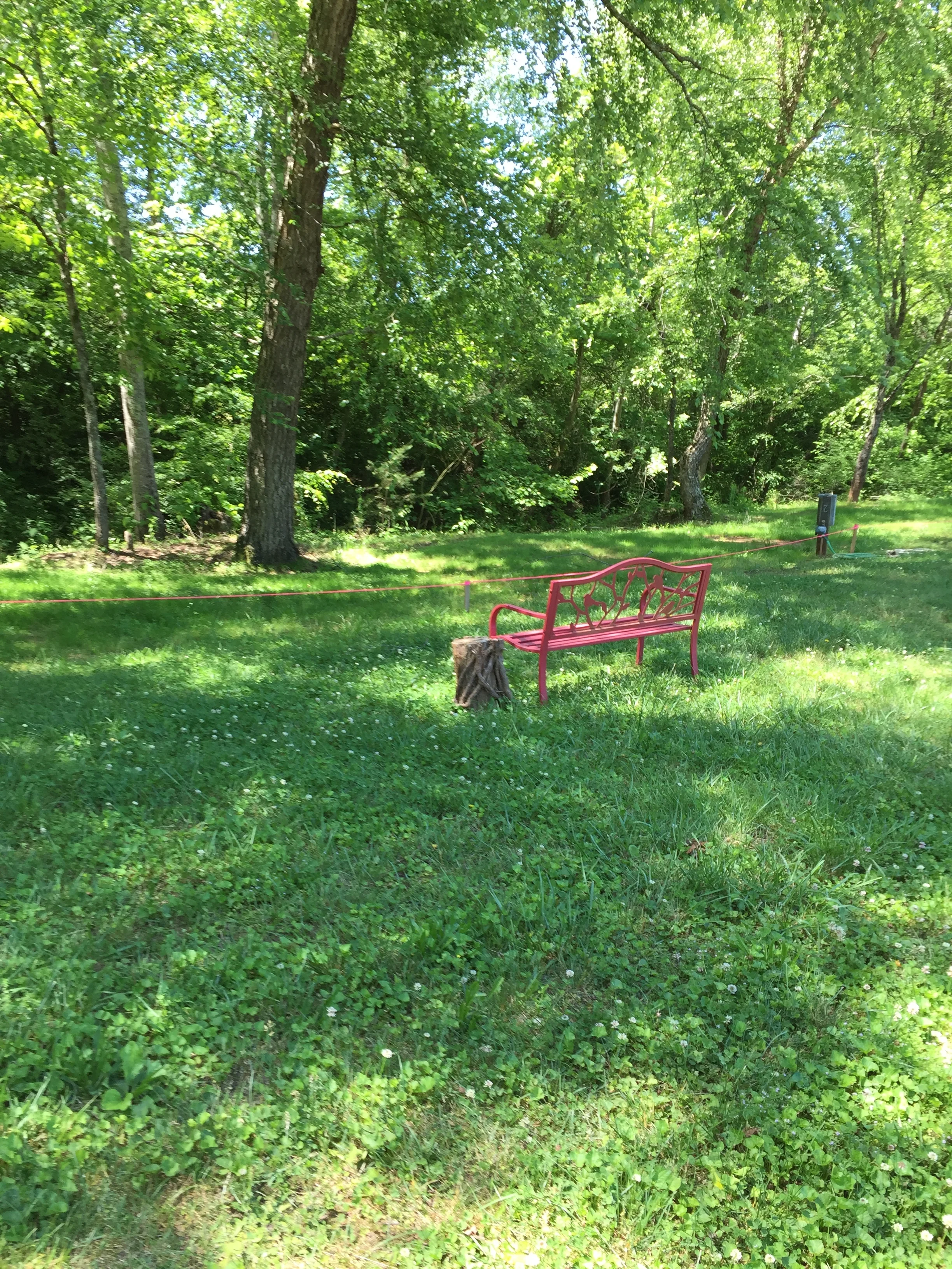 Spend some time by the creek