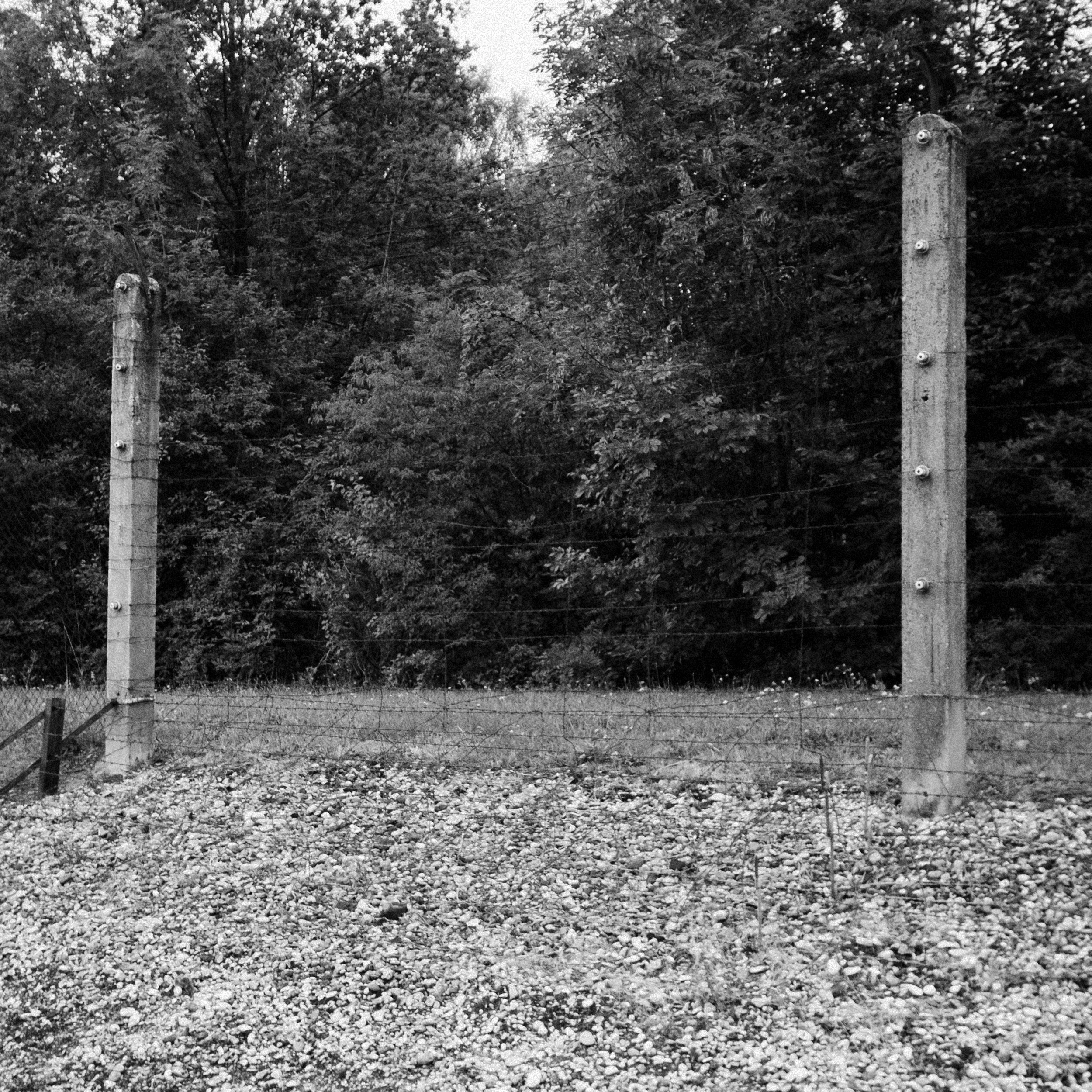 dachau10.jpg