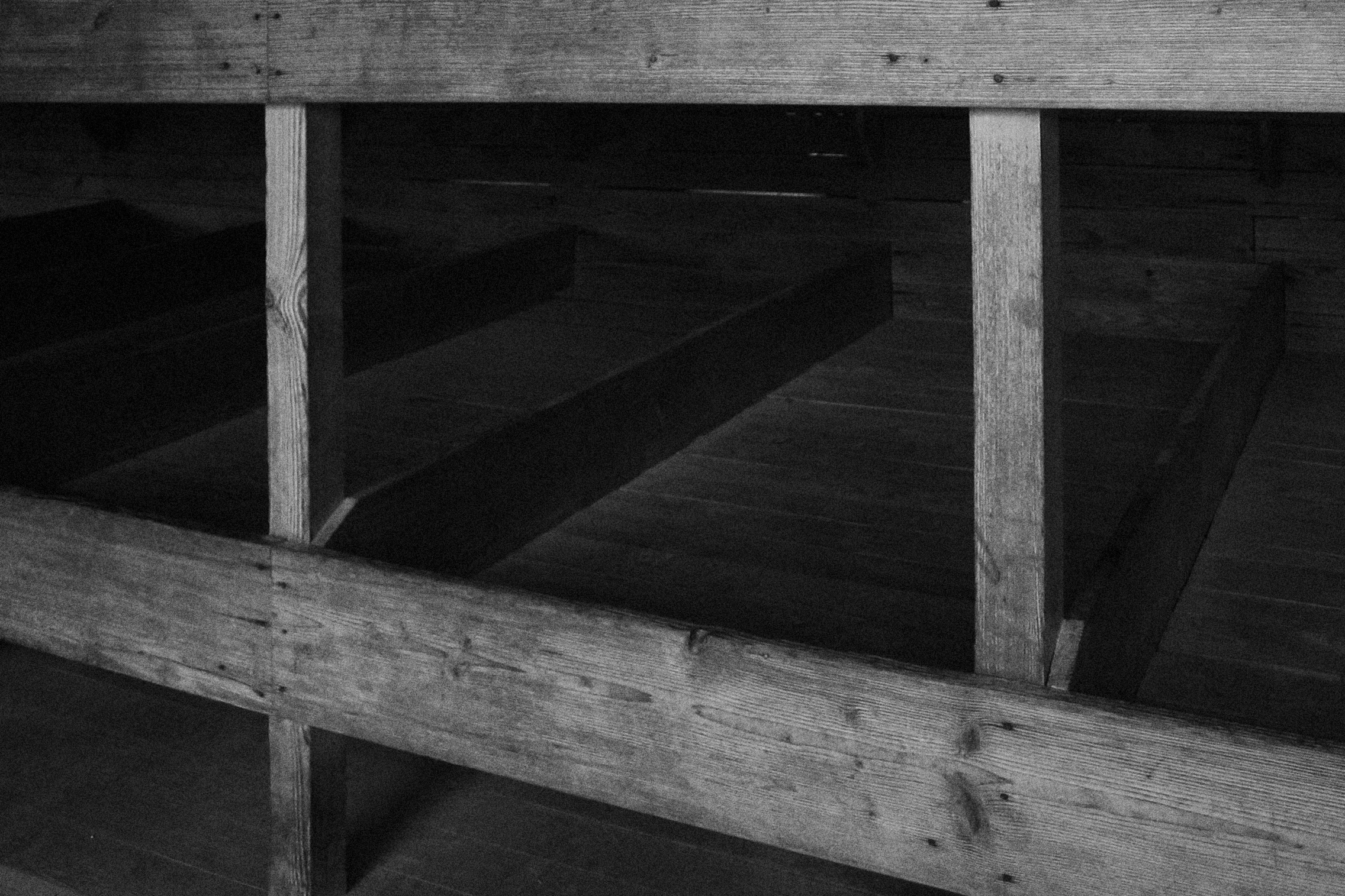dachau16.jpg