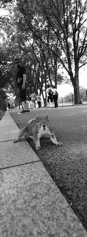 R0018108 copy.jpg