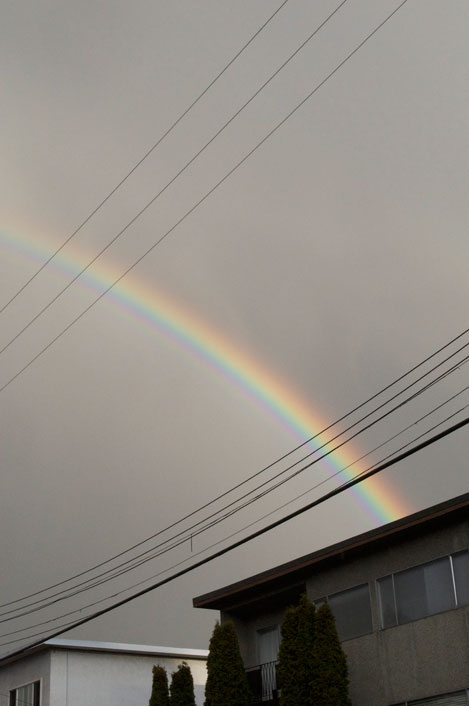 *rainbowflat.jpg
