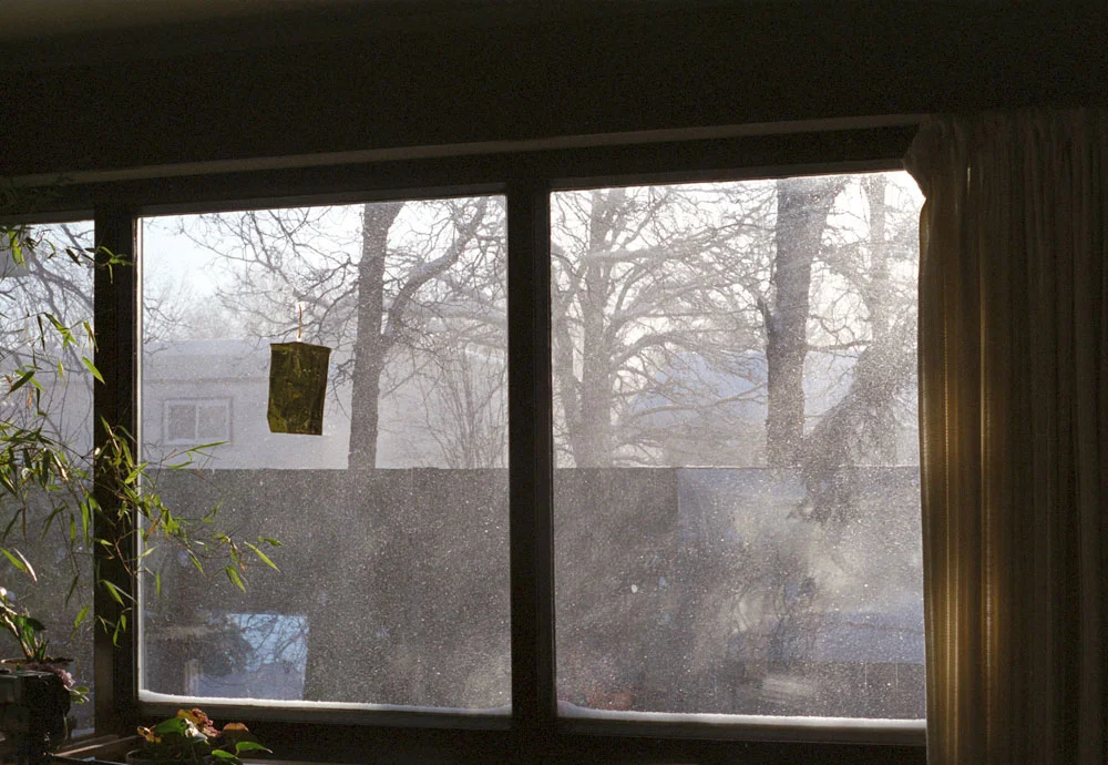29blowingsnow.jpg