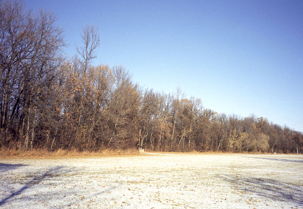 1park.jpg