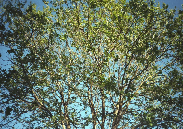 © 2003