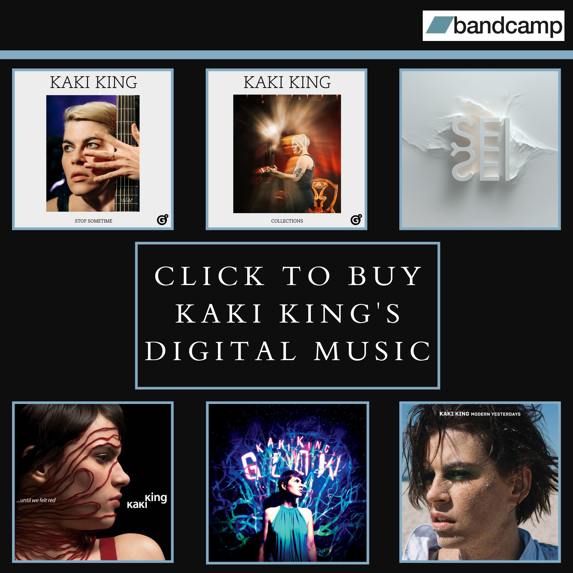 Kaki King's Bandcamp page