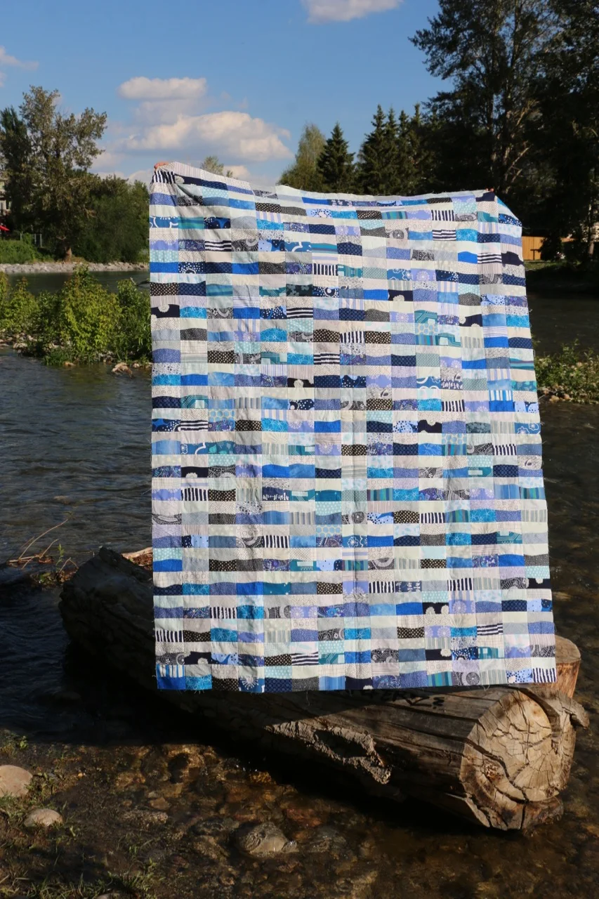 Improv Curves Prince Rupert Quilt