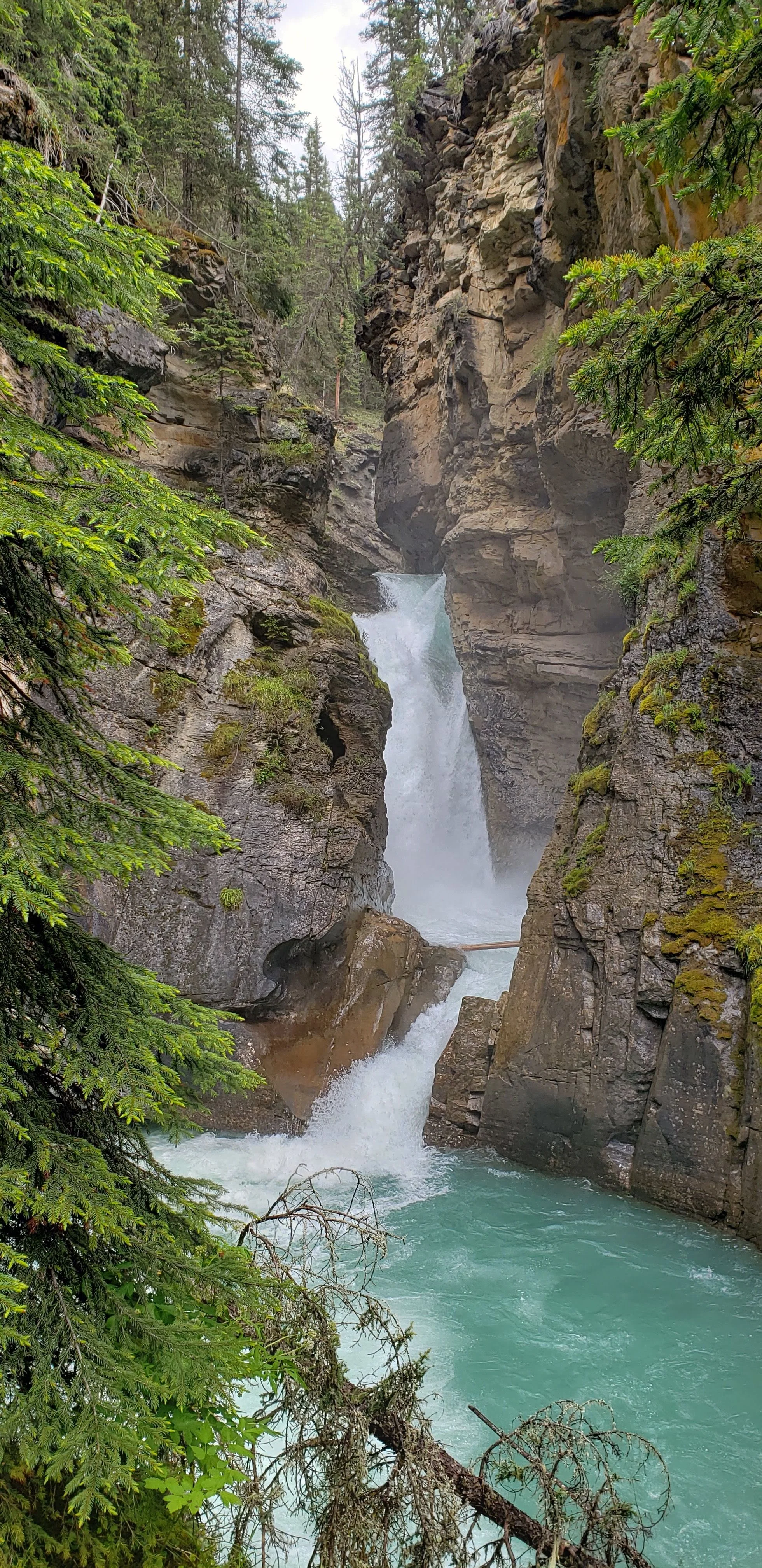 Johnston Canyon Lower Falls