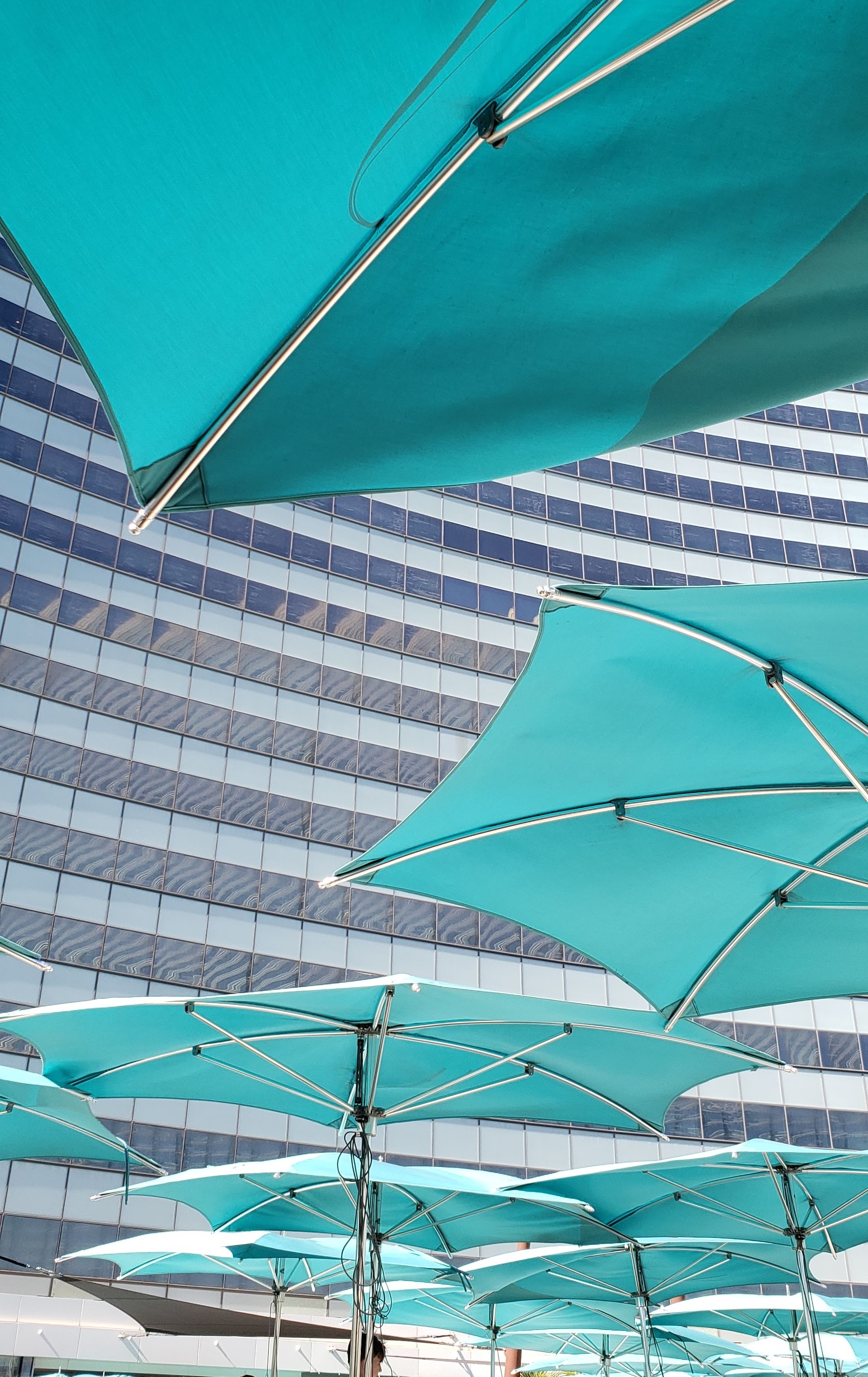 Vegas pool views