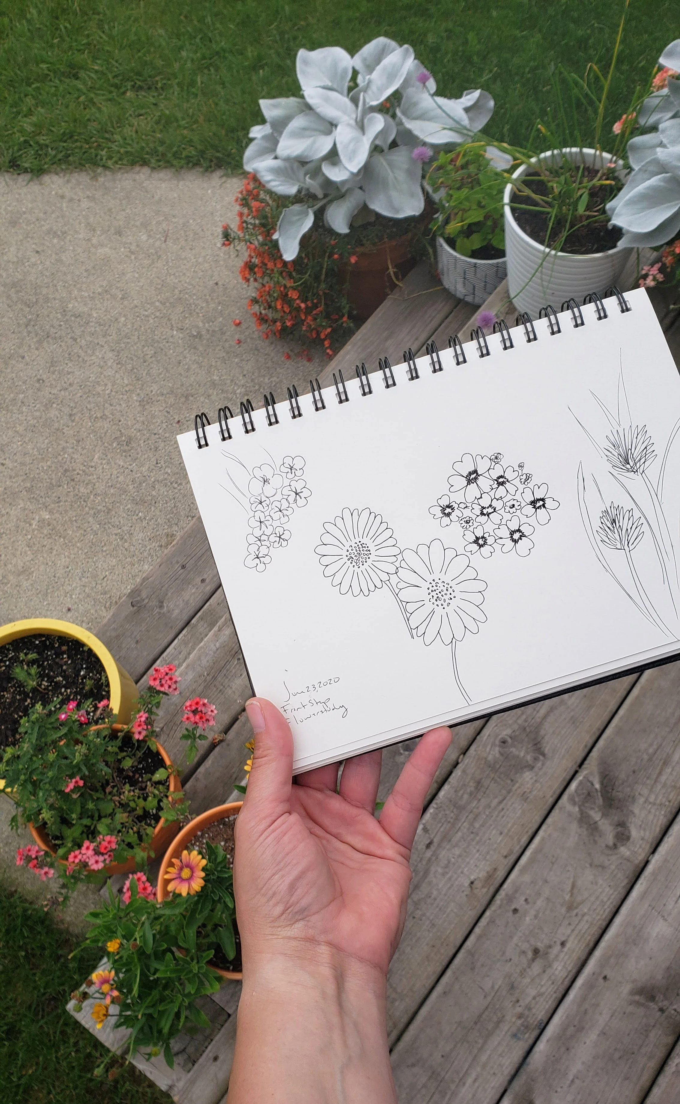 Morning Make - June 2020