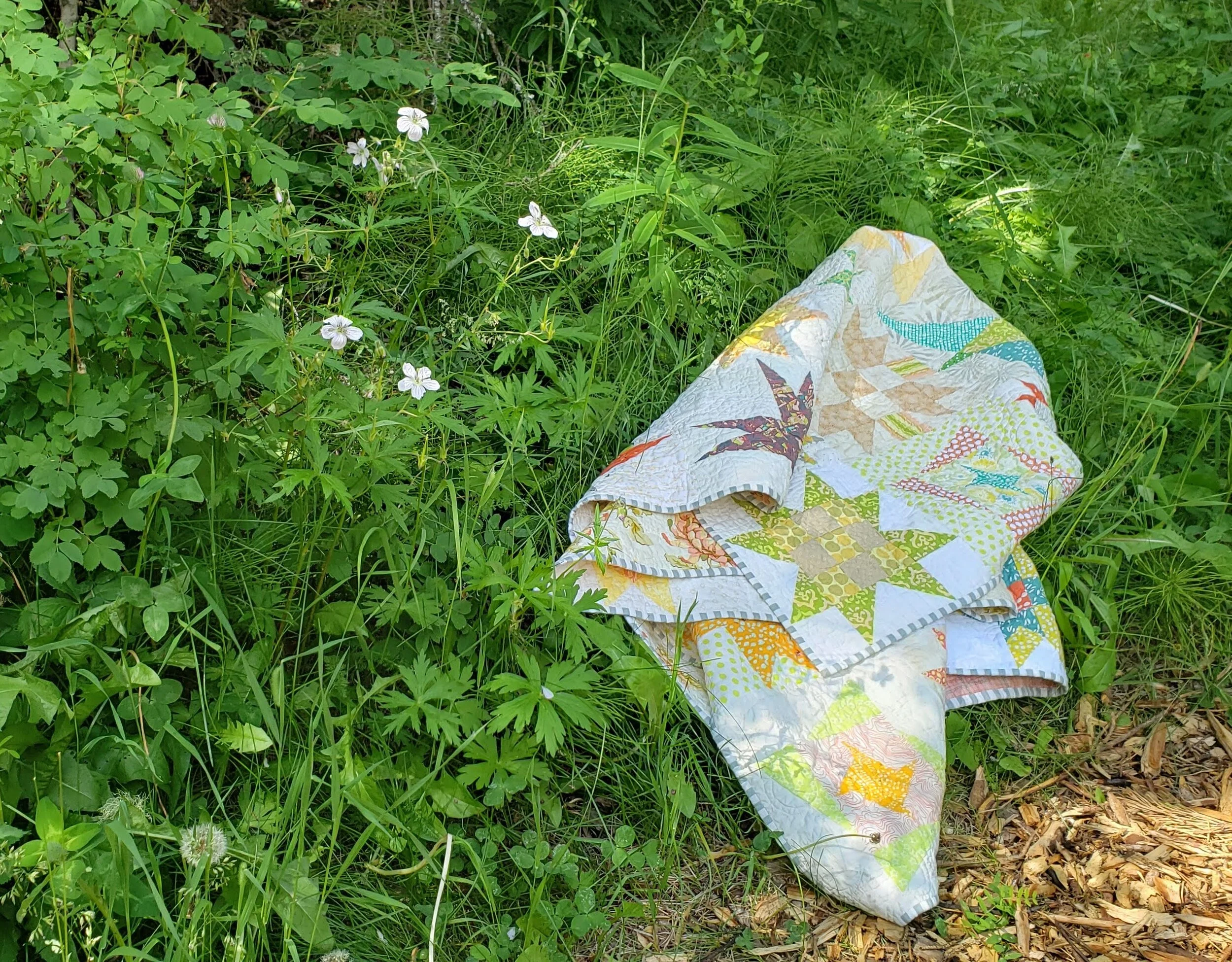 Sunny Day Stars