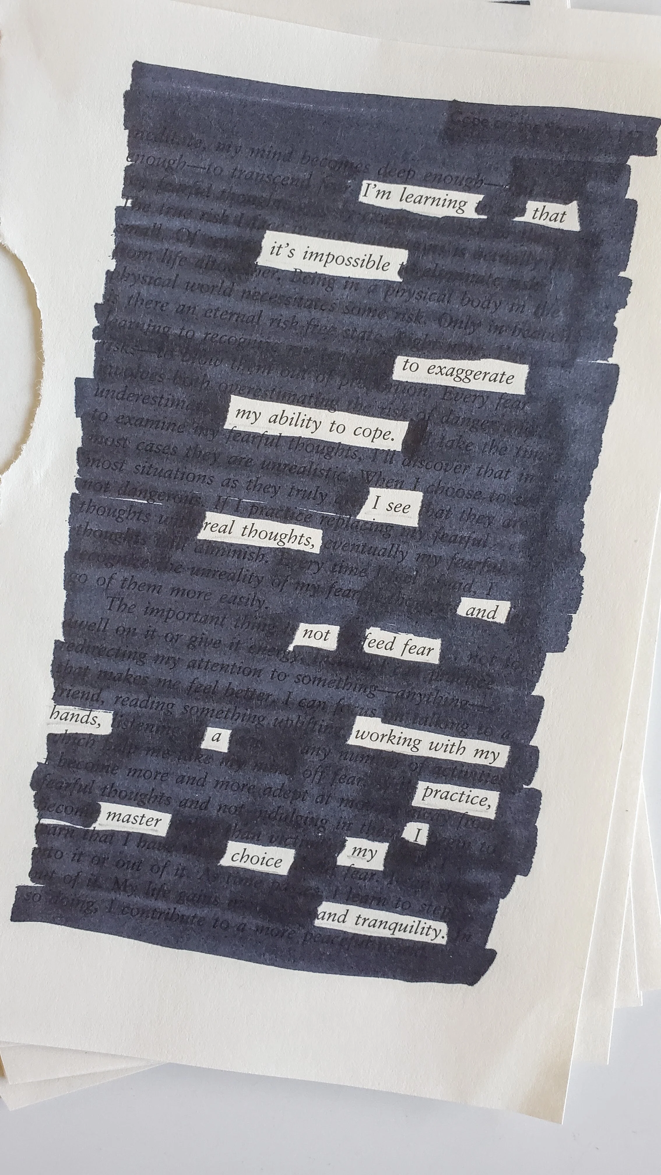 Blackout Poetry Cheryl Arkison
