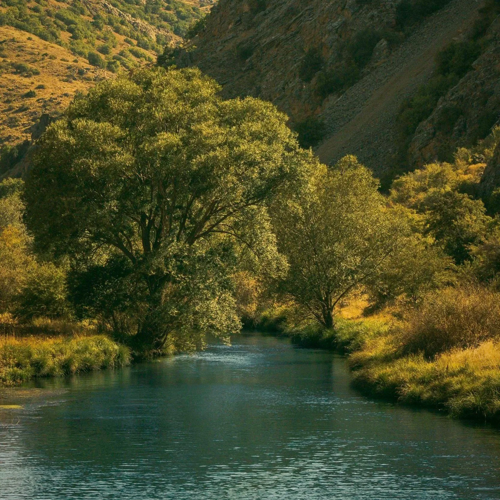 unsplash-image-WWr1mESt4wU.jpg