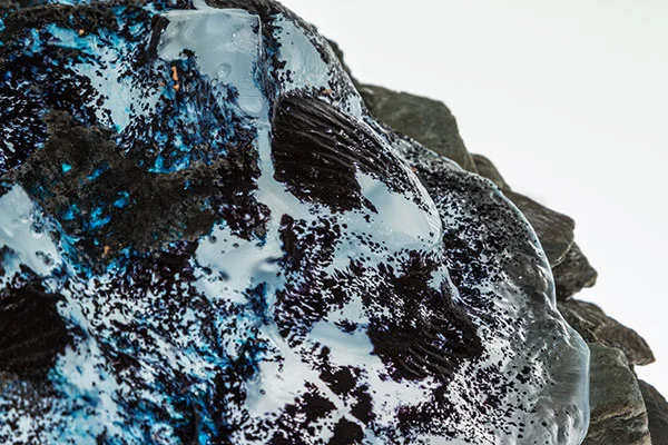Rock-Pool-ShellWeb.jpg