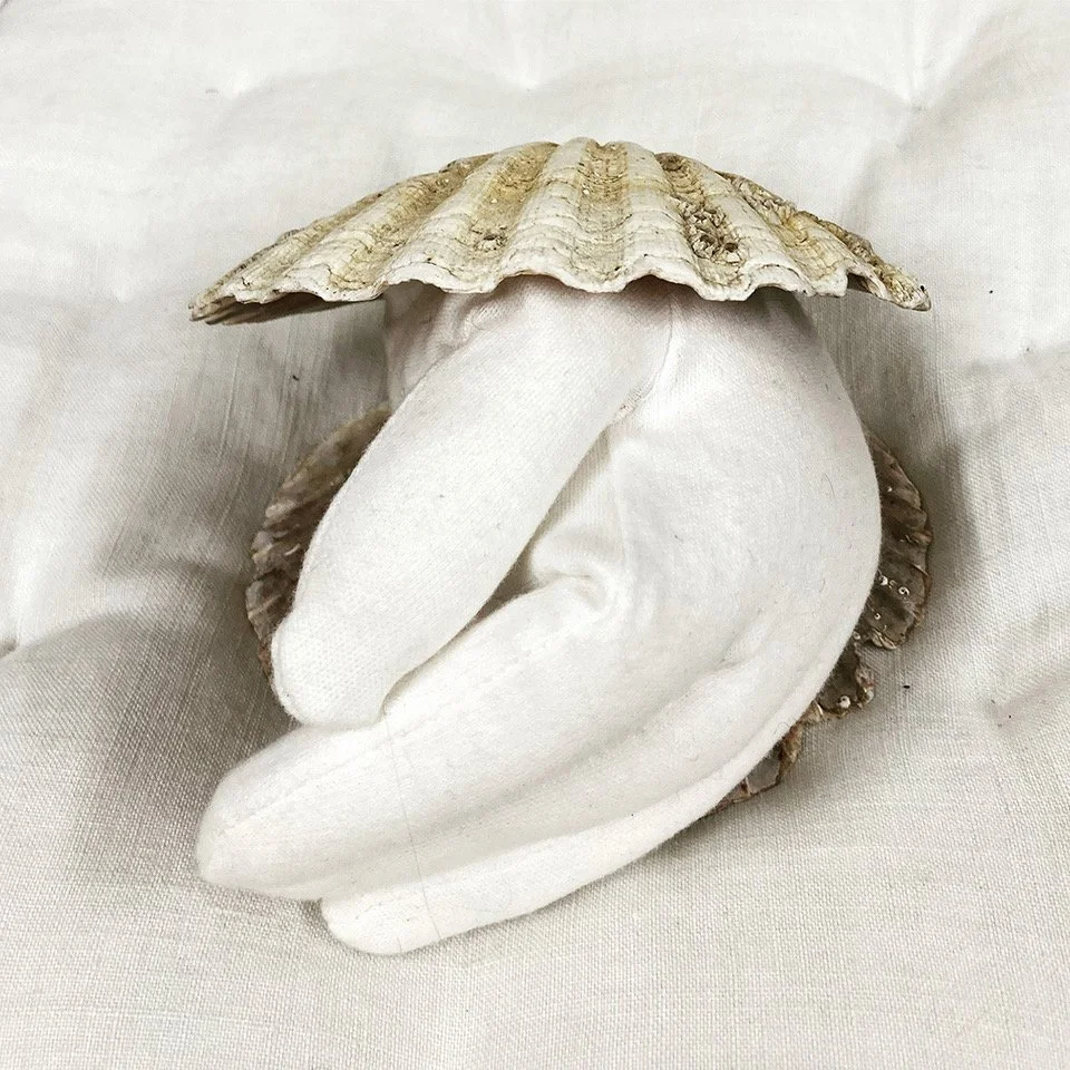 I am seperate from my skin 1.jpeg