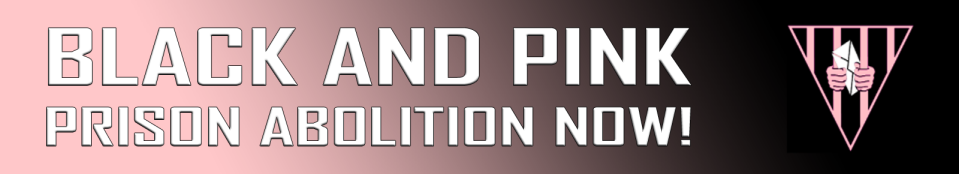 cropped-new-gradient-header-v2.png