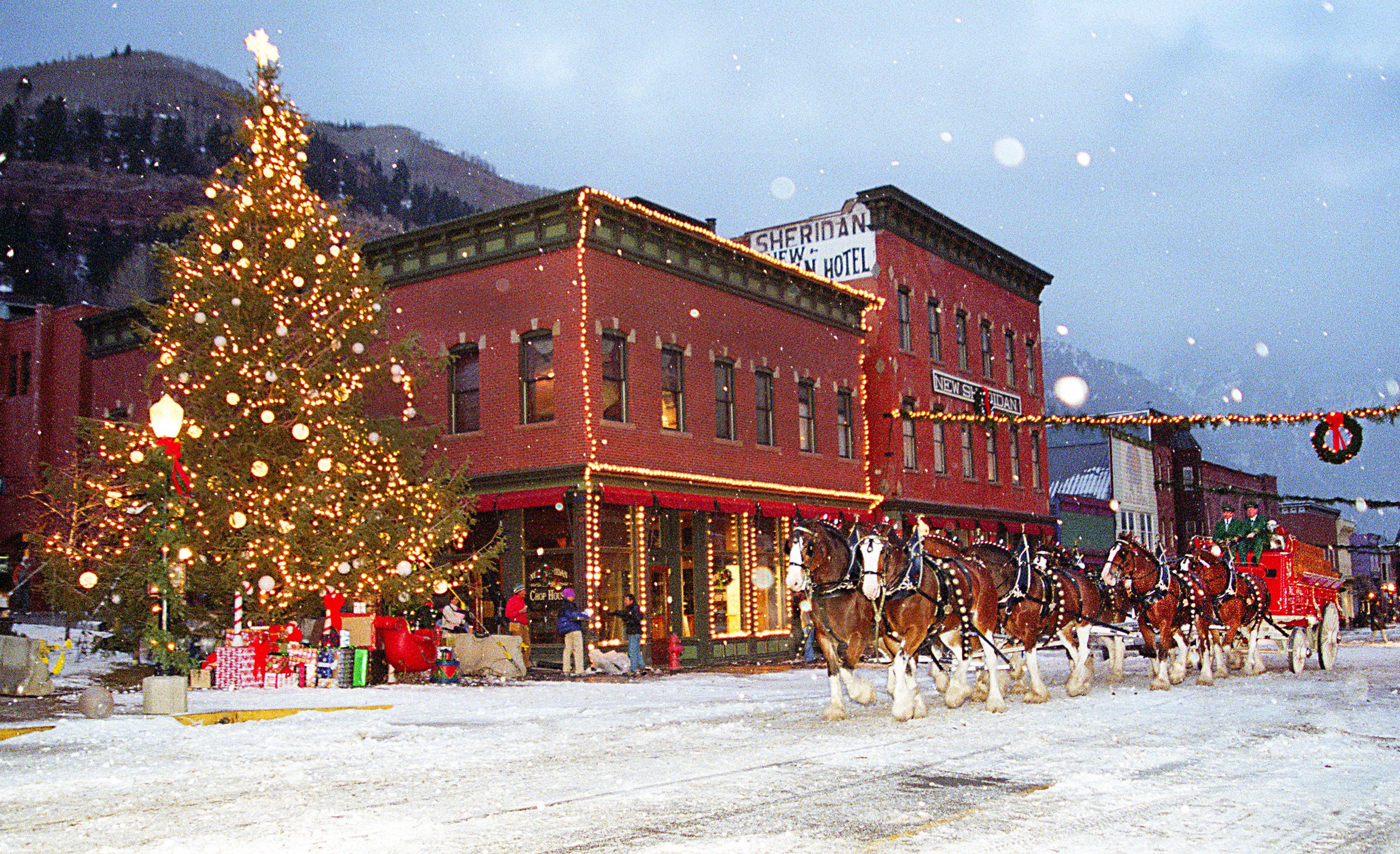 clydesdale christmas  2002 telluride cropped.jpg
