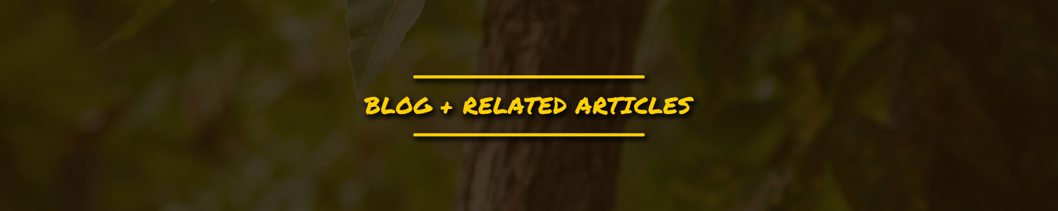 TRW Blog title.jpg