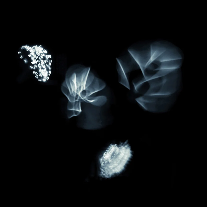 Specimens , 2013. Pigment print. 32 x 32" edition of 22 x 22" edition of 5, 17 x 17" edition of 7