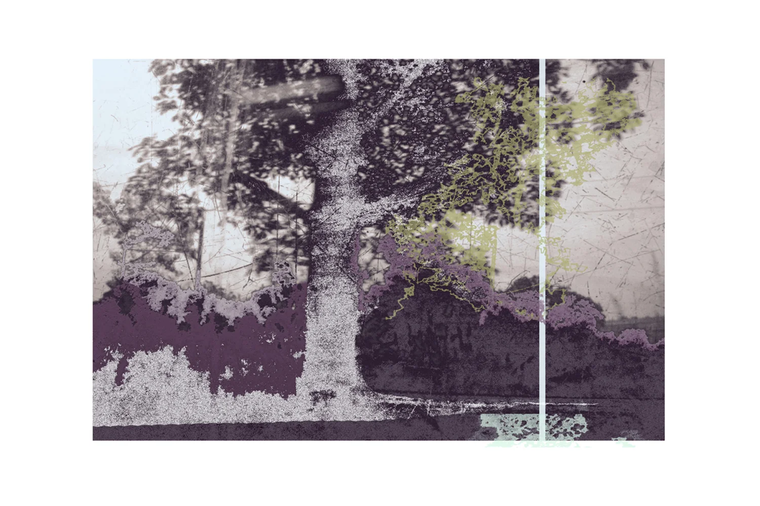  Raising , 2014. Pigment print. 26.5 x 37" edition of 3, 21 x 30" edition of 5, 17 x 24" edition of 10