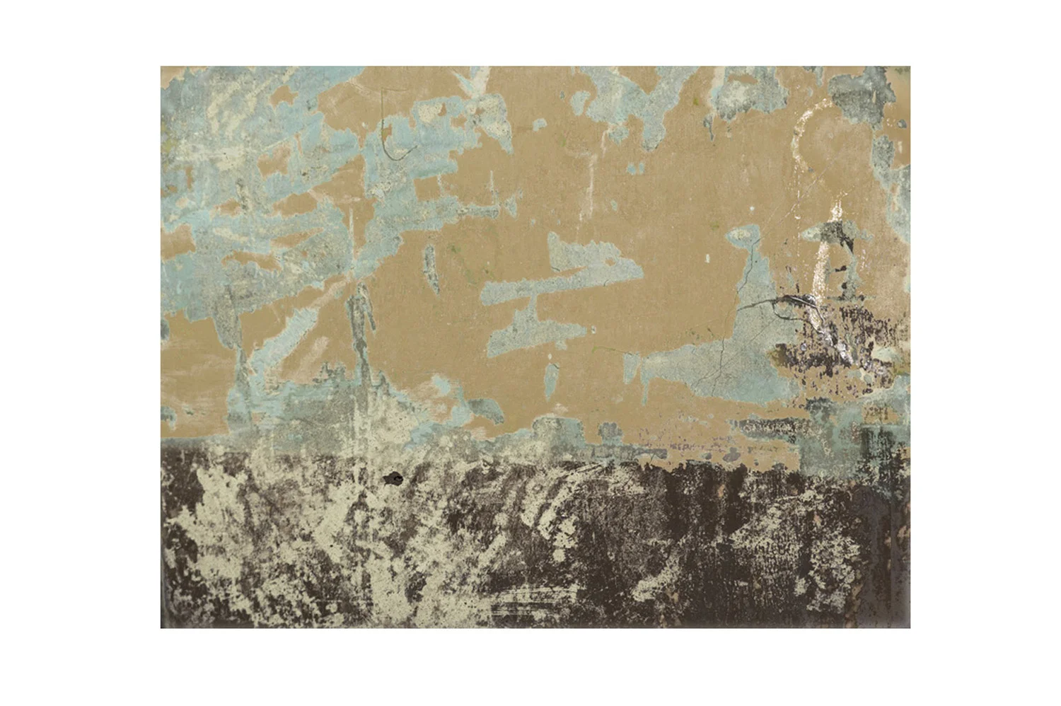  Wondering Light , 2011. Pigment print. 36 x 28" edition of 3, 22 x 28" edition of 3, 17 x 22" edition of 5