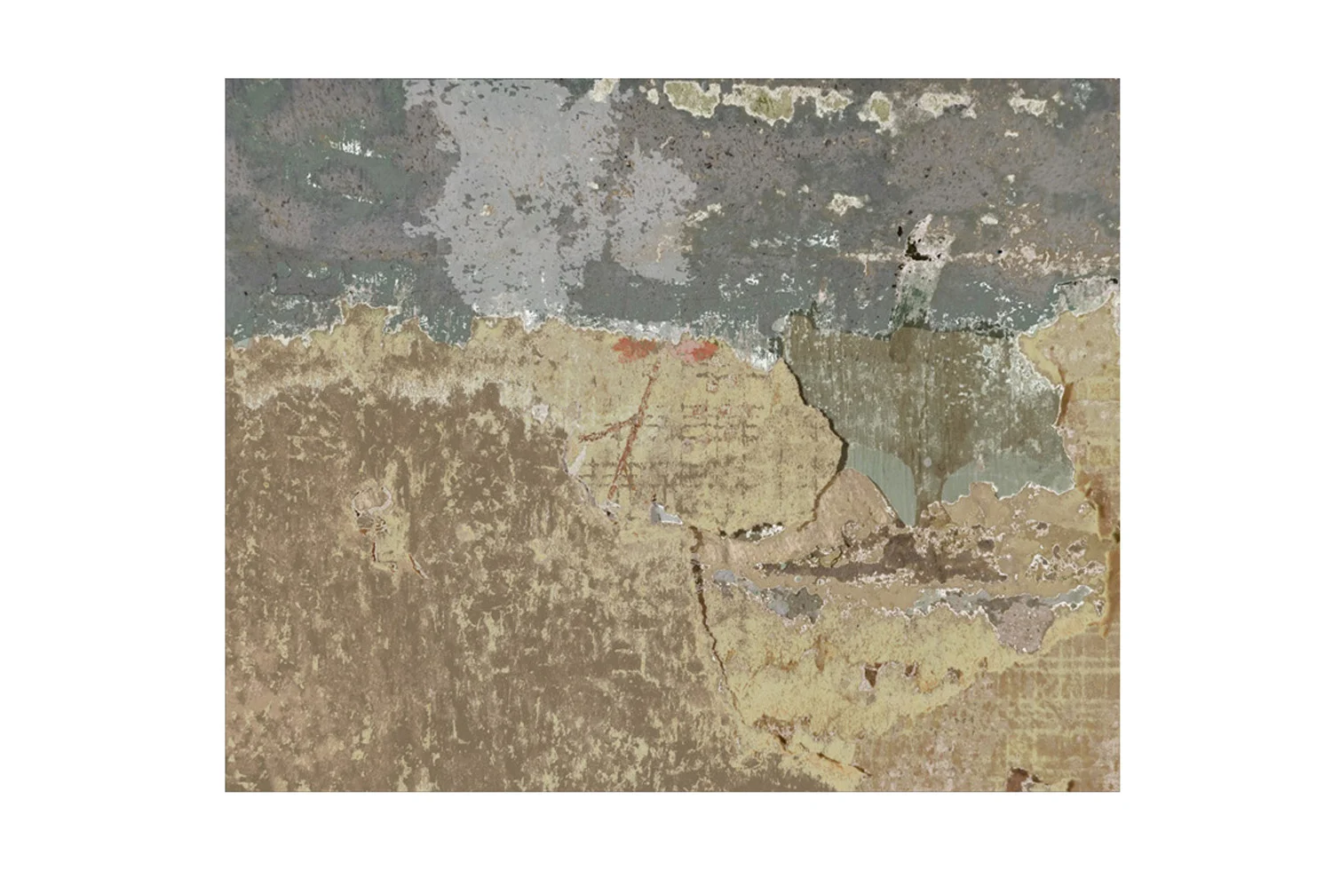  Rain on Baobabs , 2011. Pigment print. 36 x 28" edition of 3, 22 x 28" edition of 3, 17 x 22" edition of 5