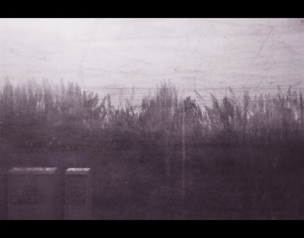 Tremolo , 2014. Laminated pigment print on dibond. 32 x 40" edition of 3, 22 x 28" edition of 5