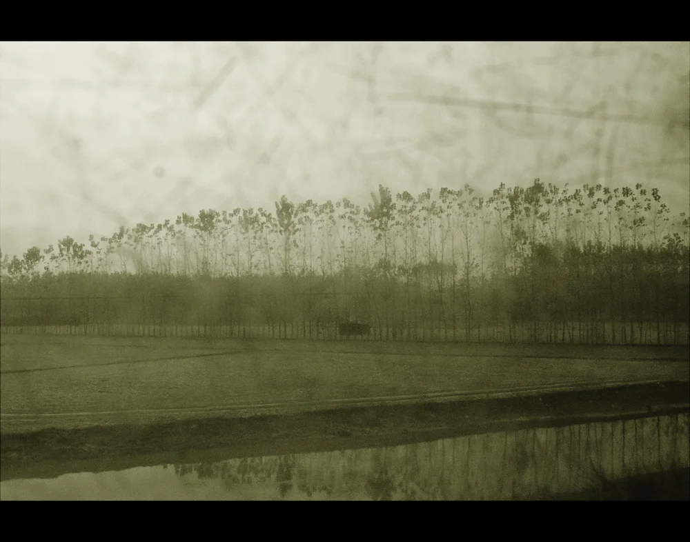 Adagio , 2014. Laminated pigment print on dibond. 32 x 40" edition of 3, 22 x 28" edition of 5