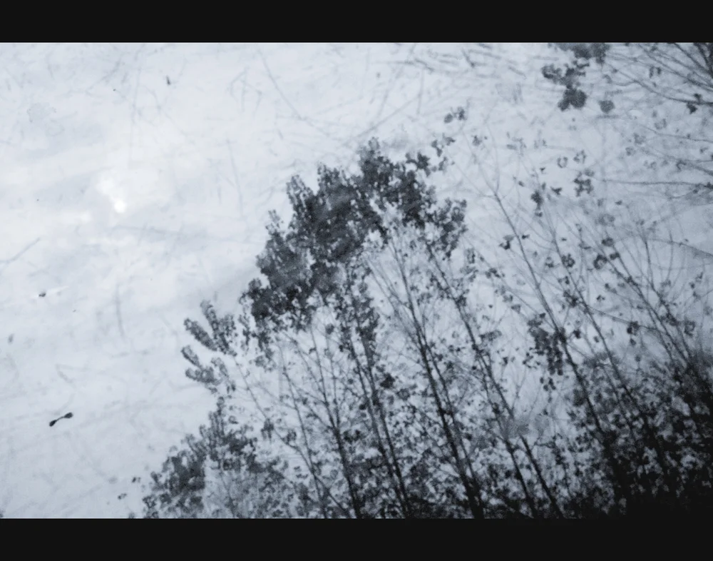 Requiem , 2014. Laminated pigment print on dibond. 32 x 40" edition of 3, 22 x 28" edition of 5