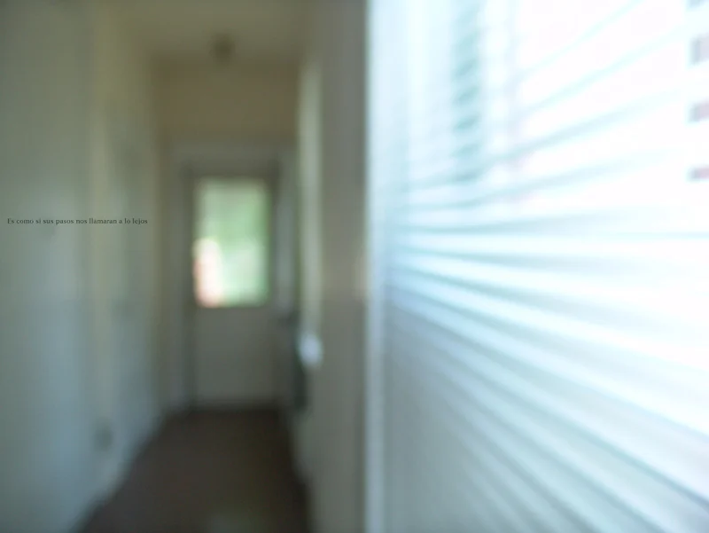 Voice V , 2011. Pigment pigment print on paper. 33 x 24" edition of 5, 23.5 x 17" edition of 10