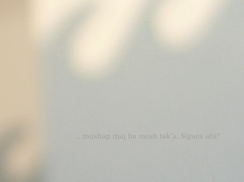 Voice IX , 2011 (detail). Pigment pigment print on paper. 33 x 24" edition of 5, 23.5 x 17" edition of 10