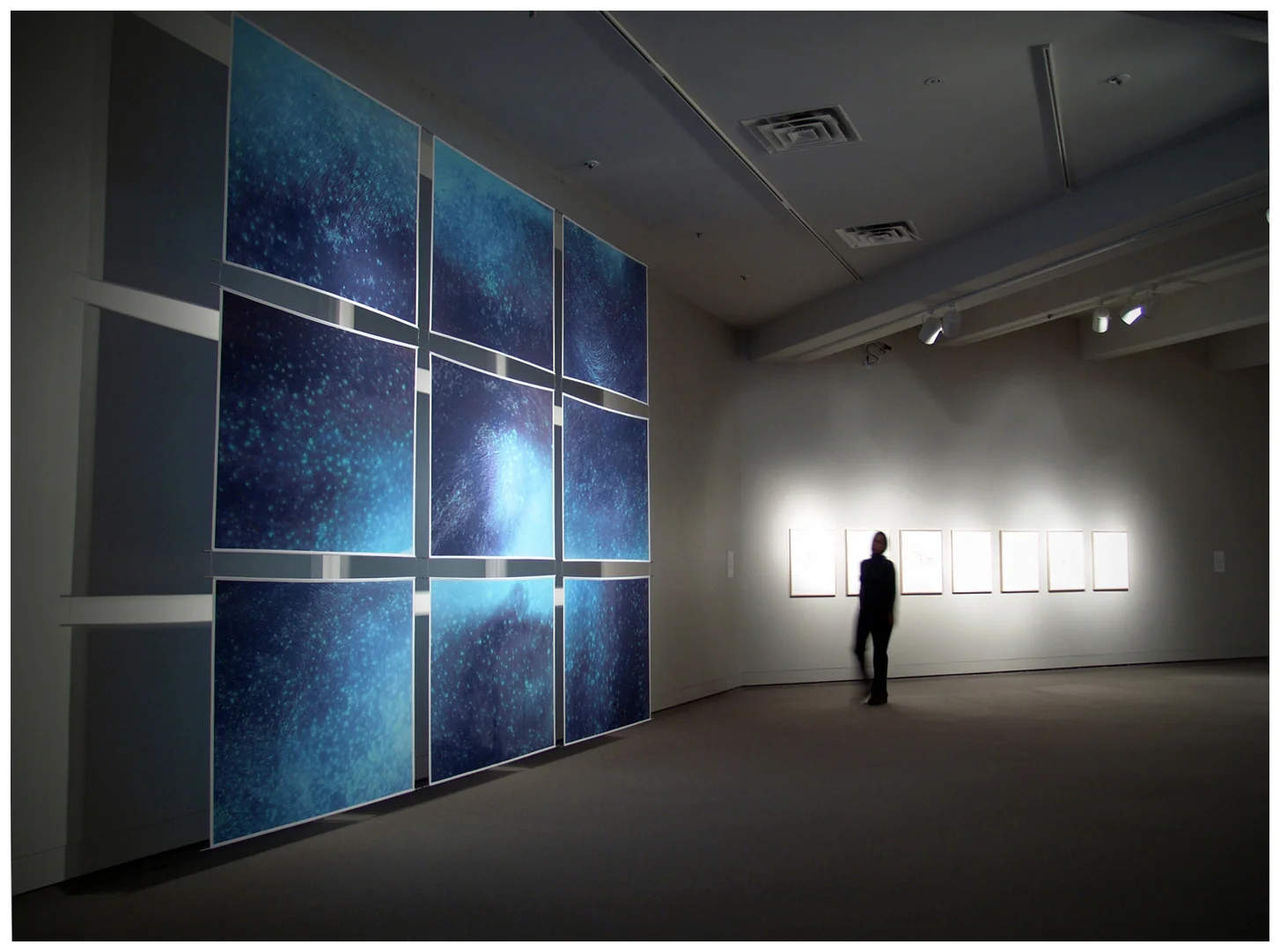 On the skin of my father , 2001. Negative photographic images printed fabric, metal rods, fish line. Dimensions variable.