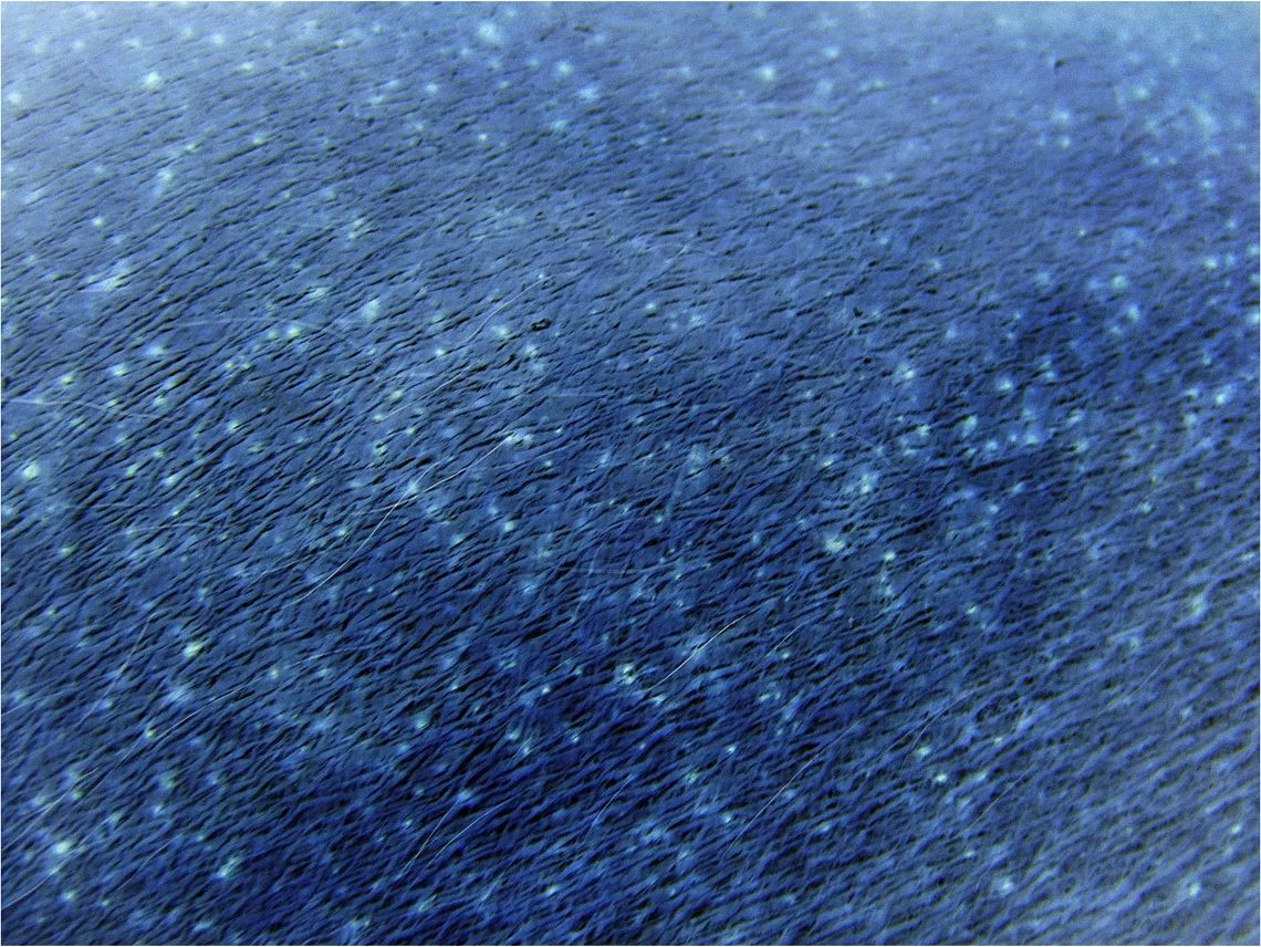 Cielo-VII , 2007. Negative image print of fabric. 37 x 44"