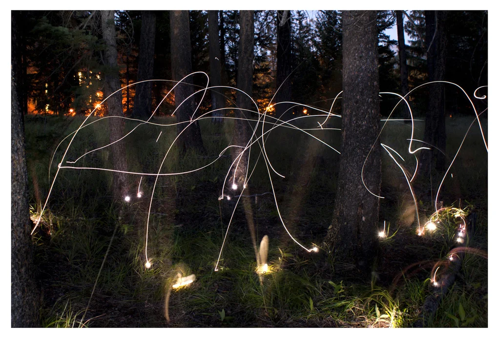  Such, 2011. Pigment print . 30 x 40 " edition of 3, 20 x 30 " edition of 5, 17 x24" edition of 10