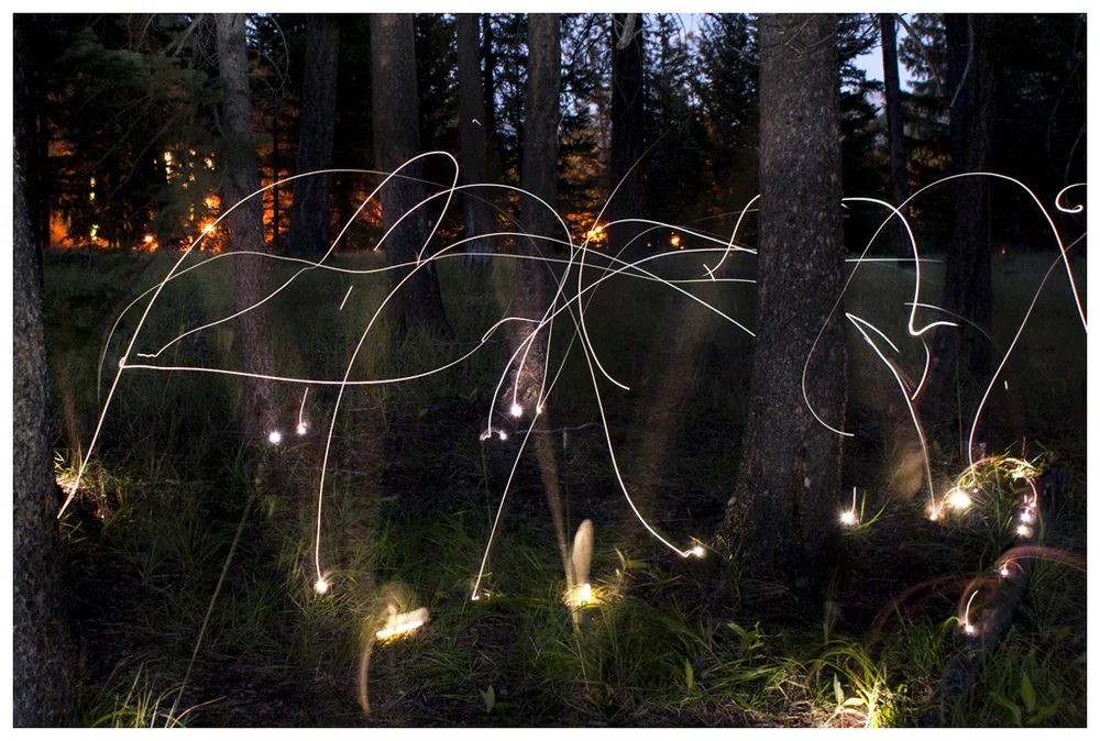  Such , 2011. Pigment print . 30 x 40 " edition of 3, 20 x 30 " edition of 5, 17 x24" edition of 10