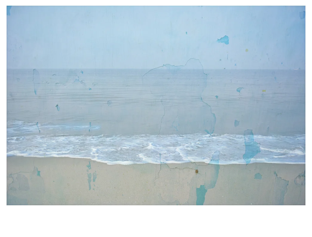 Deep Garden , 2015. Pigment print, 24 x 33" edition of 3, 17 x 23" edition of 3, 17 x 23" edition of 5, 13 x 19" edition of 5