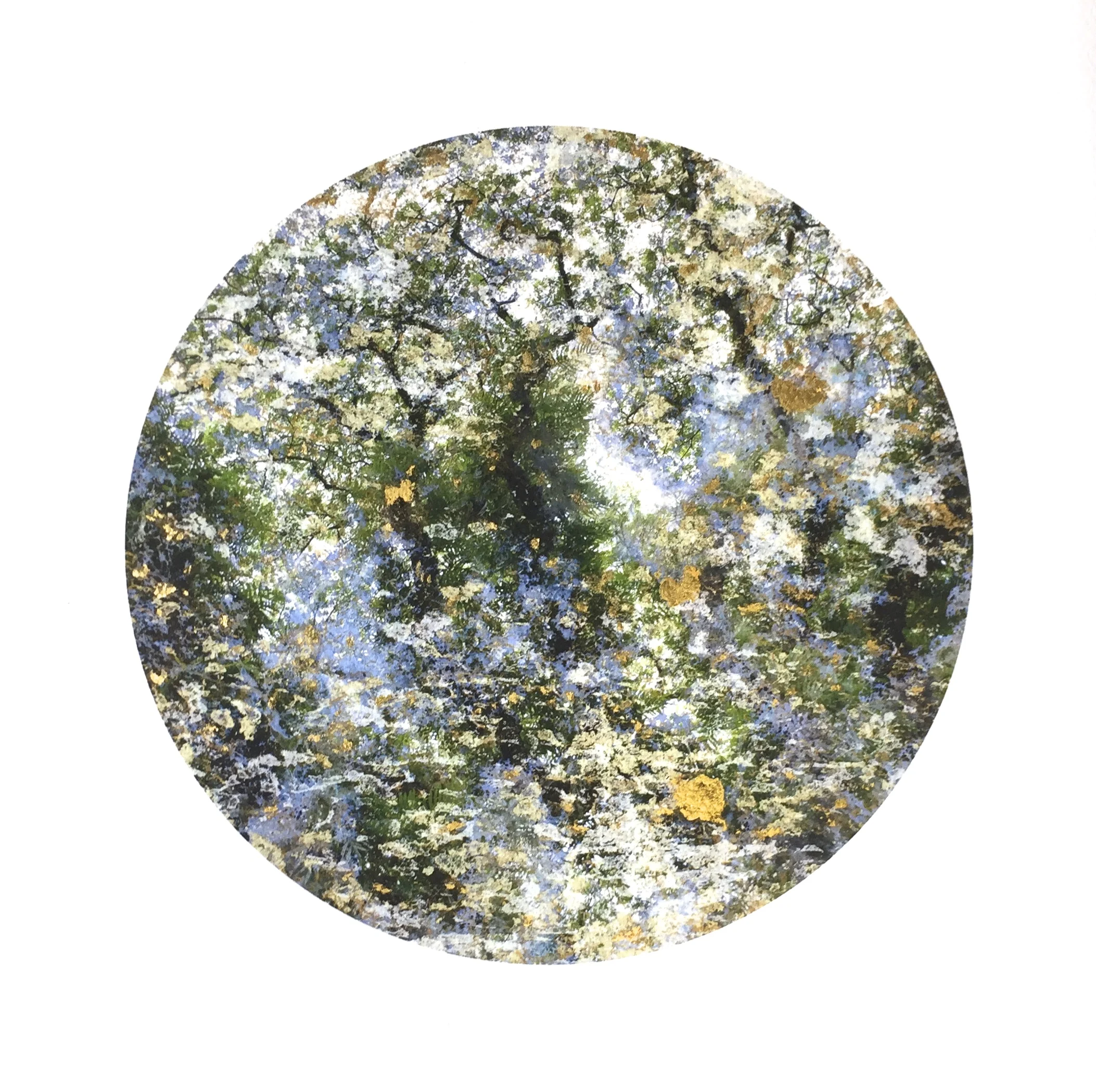  Kaludini , 2017. Photo digital collage, archival ink on rag, birch panel, gold leaf, 12 x 12 " 