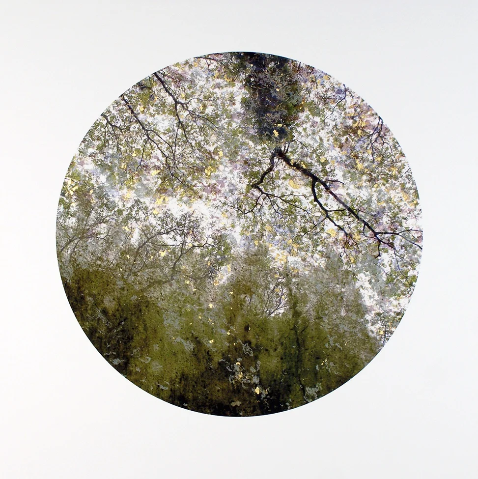  Walden, 2017. Photo digital collage, archival ink on rag, birch panel, gold leaf, 12 x 12 " VE 2 of 5 
