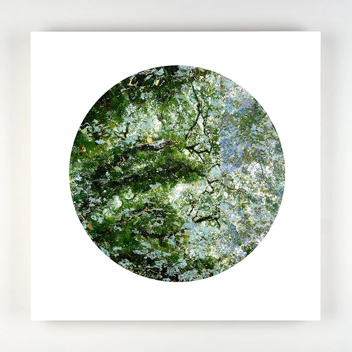 Cadwell, 2016. Photo digital collage, archival ink on rag, birch panel, gold leaf, 12 x 12 " VE 1 of 5 