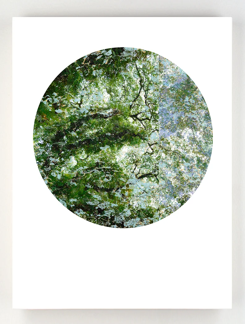Cadwell , 2016. Photo digital collage, archival ink on rag, birch panel. 30 x 24 " 2 of 3 