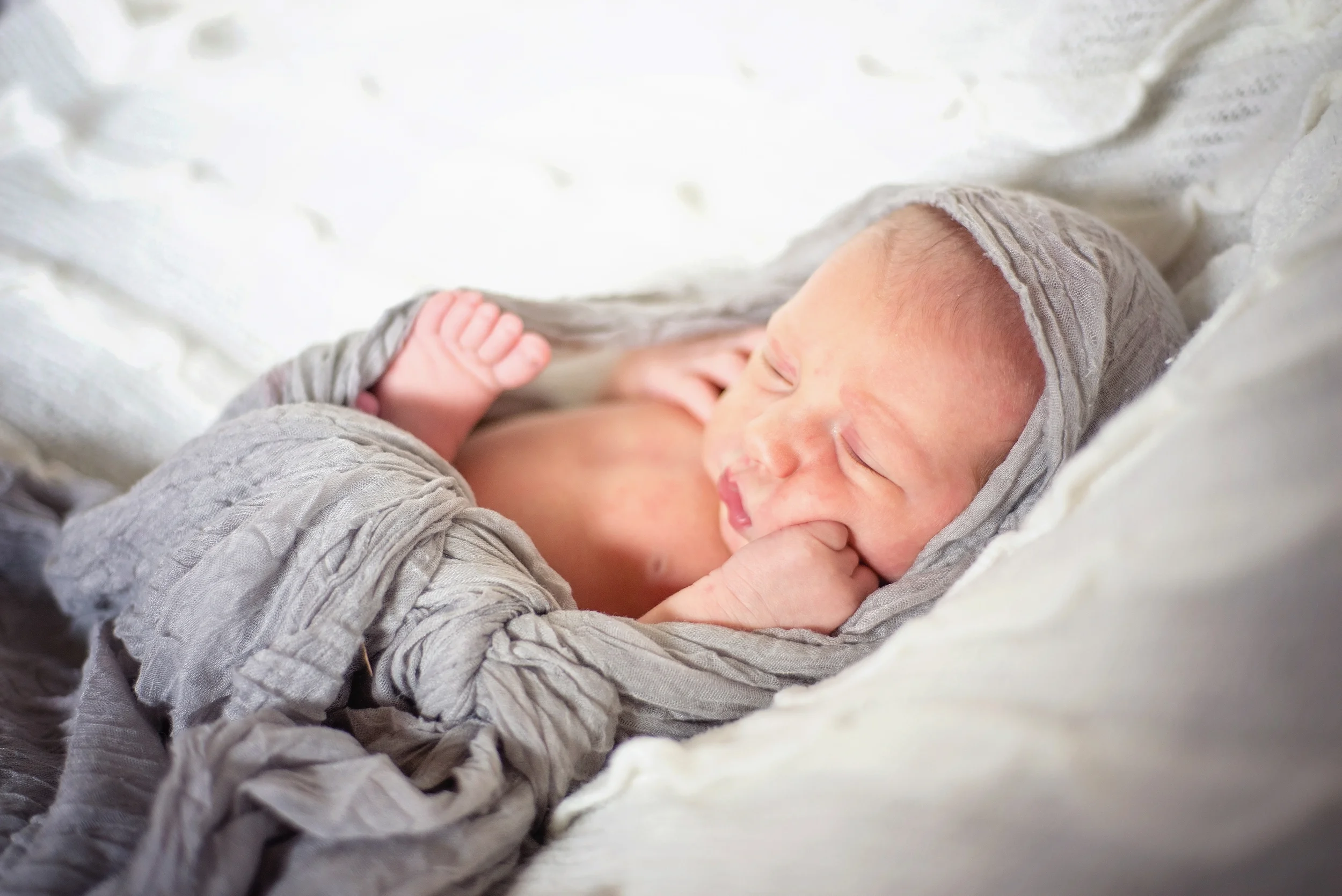 Amélie_nb_0008.jpg