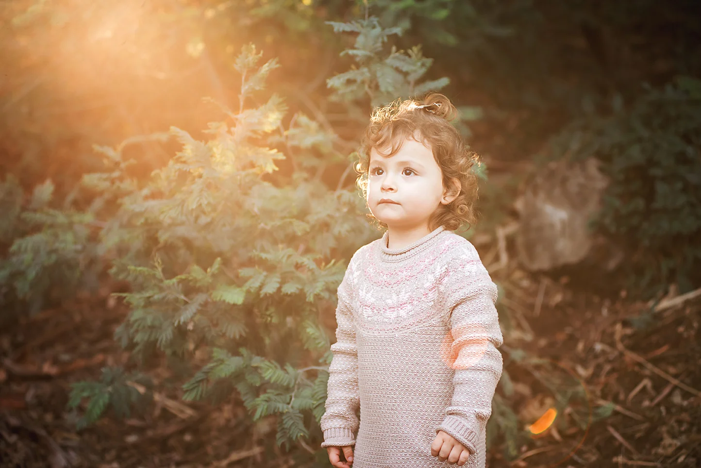 2016_shiloh_fall_020.jpg