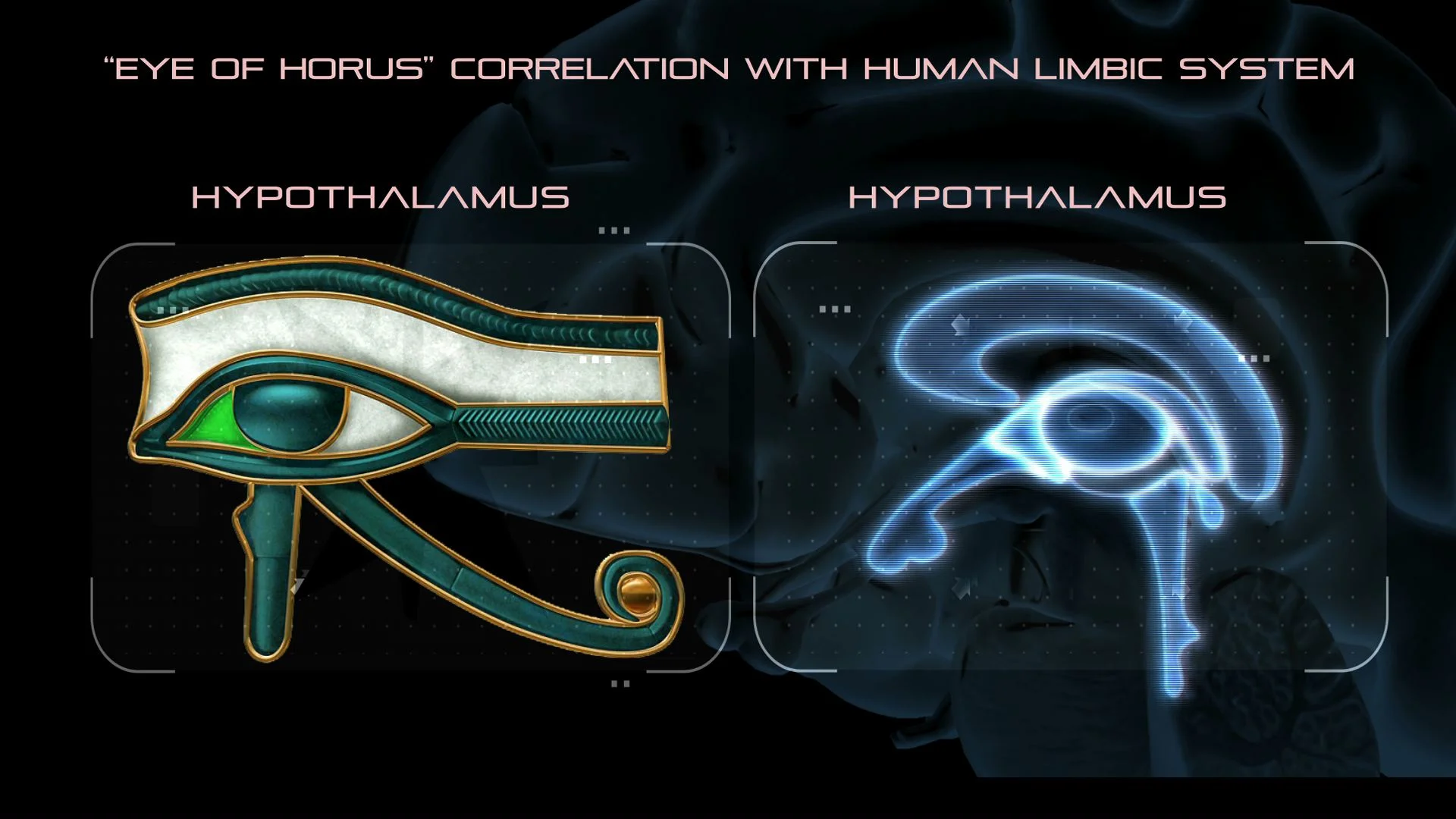 Eye Of Horus And The Brain New Discoveries Magical Egypt