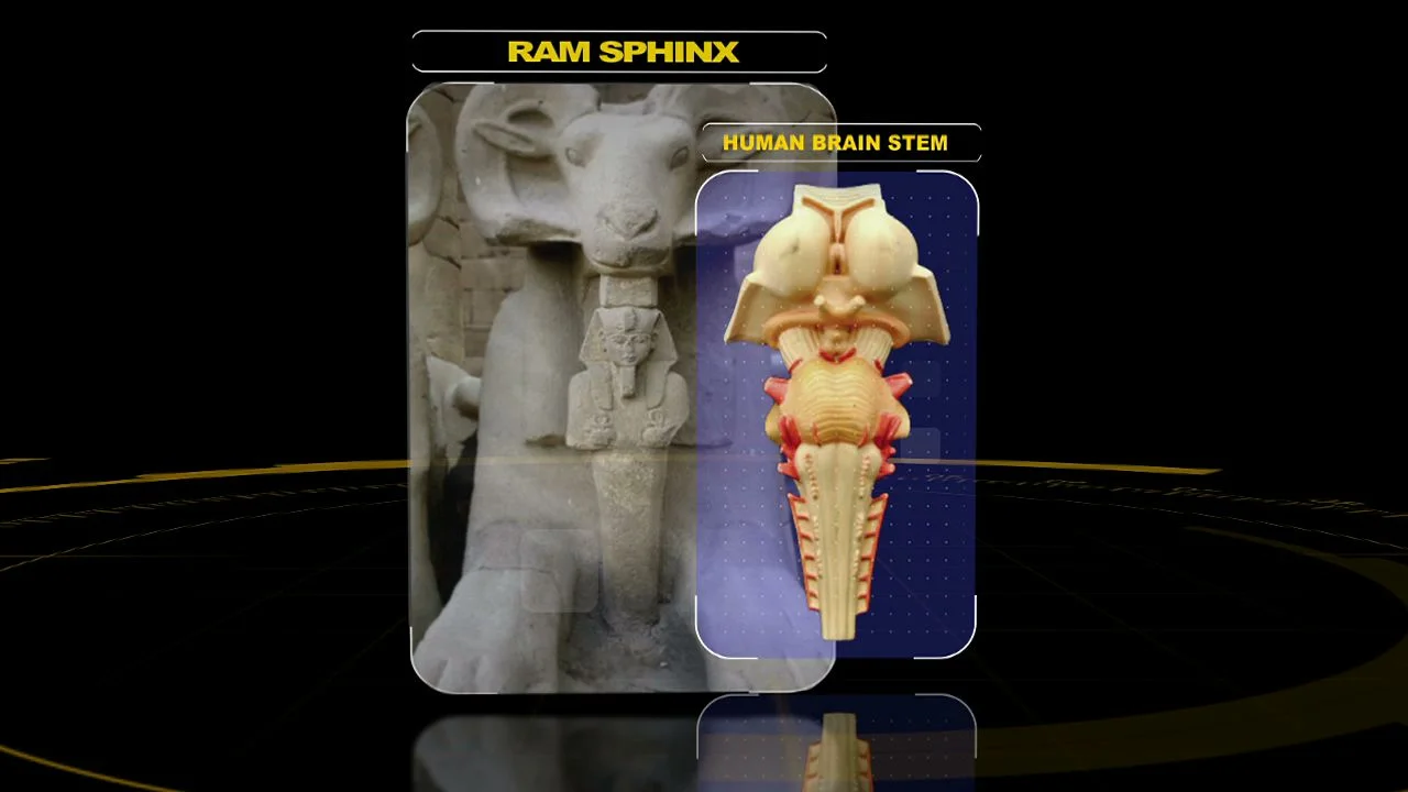 ram sphinx-1.jpeg