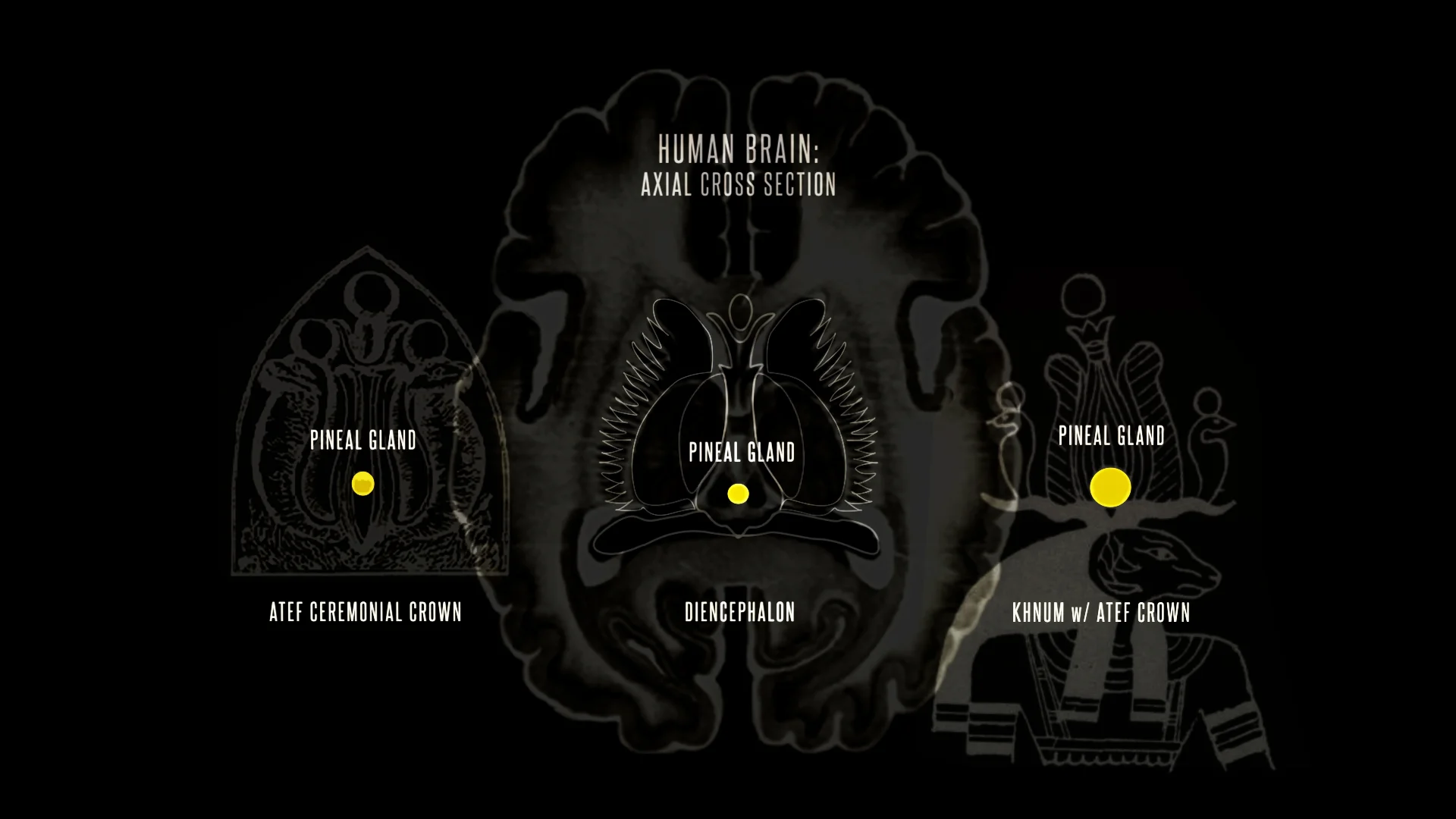 walnut atef pineal x3 board.jpg